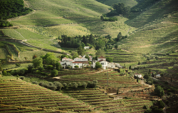 Les vins de Porto avec la Maison Ramos Pinto !